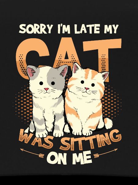 Sorry I'm late