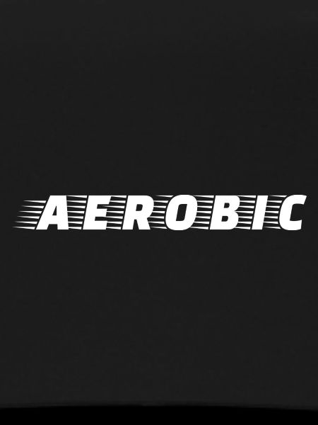 Aerobic accessory