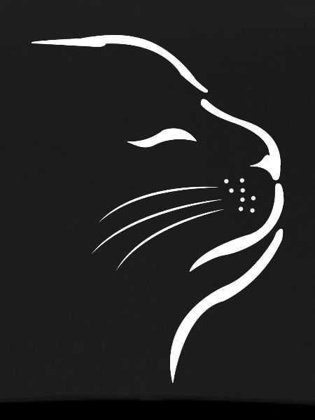 Cat Cats