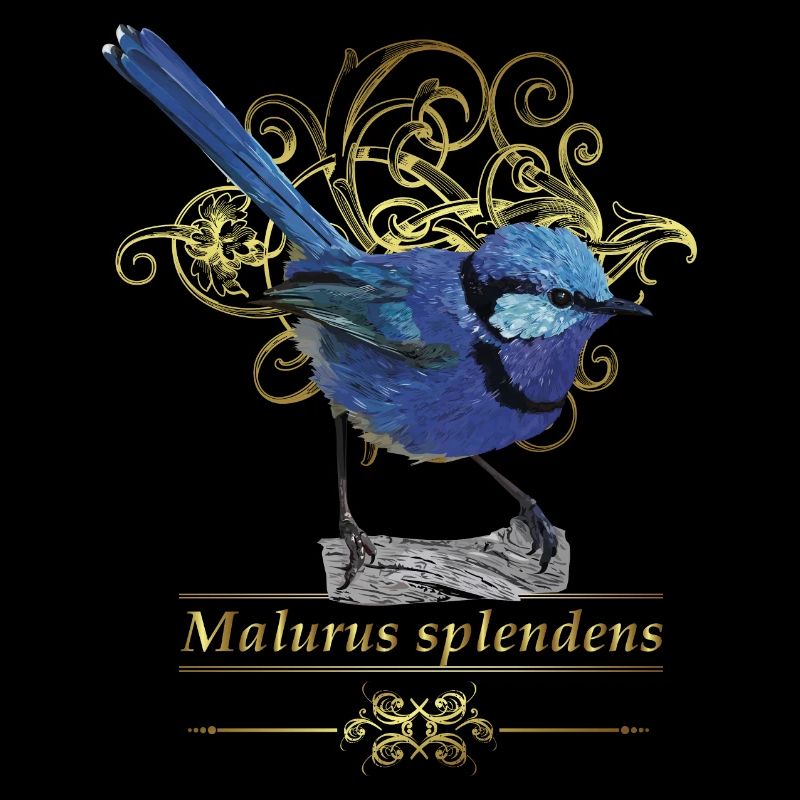 splendide maluro