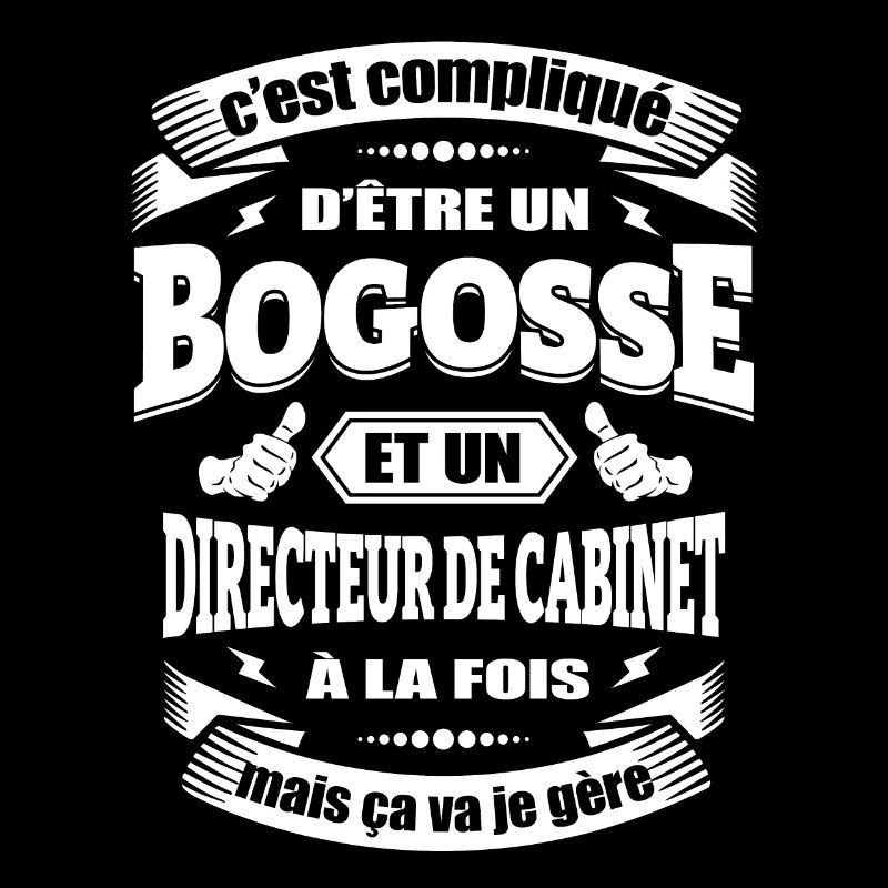 BOGOSSE ET DIRECTEUR DE-CABINET