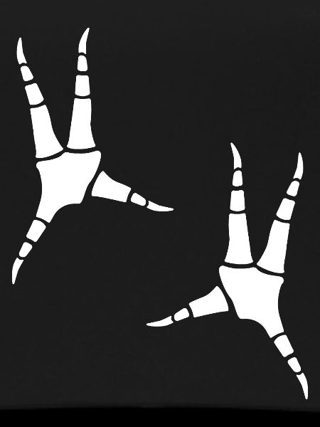 Parrot footprints