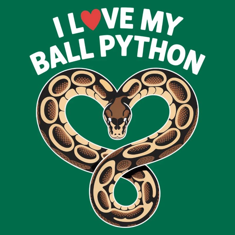 J’adore mon python royal ! Roi python