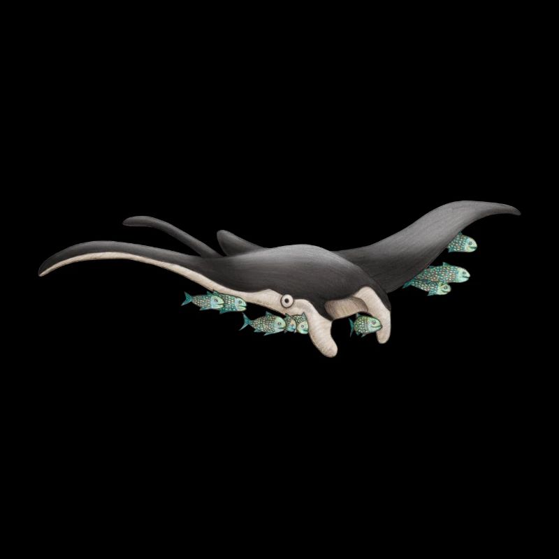 Freundlicher Mantarochen