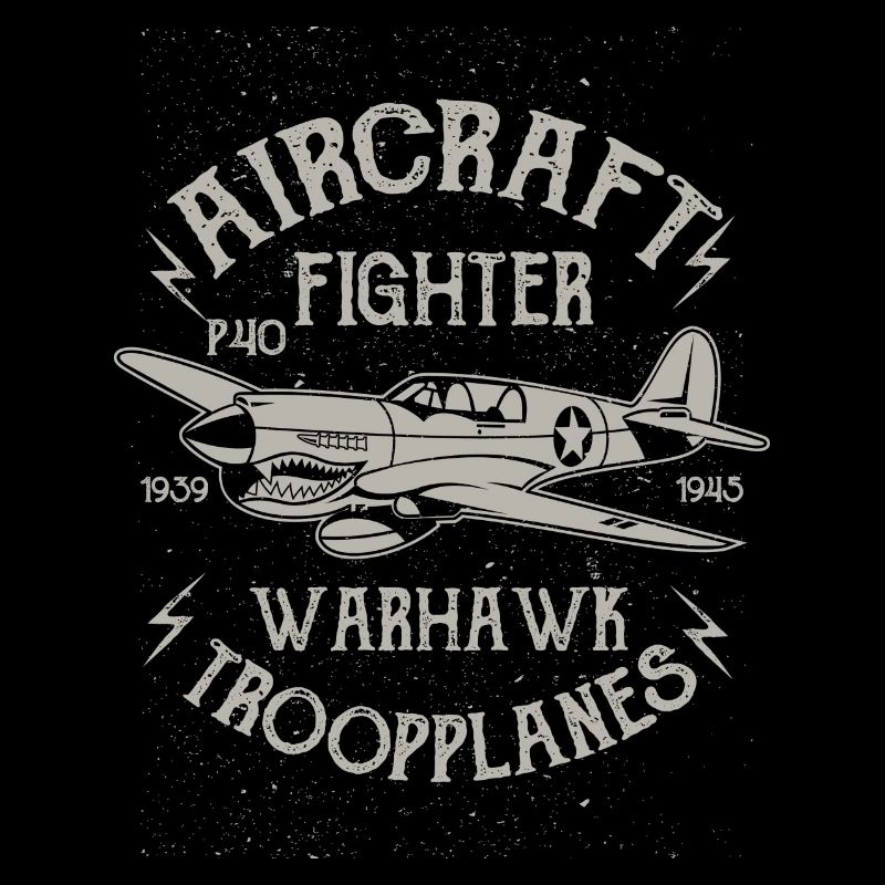 Warhawk Flugzeug Flieger