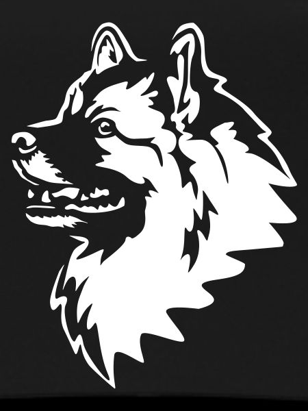 Wolfsspitz Head "Black Edition"