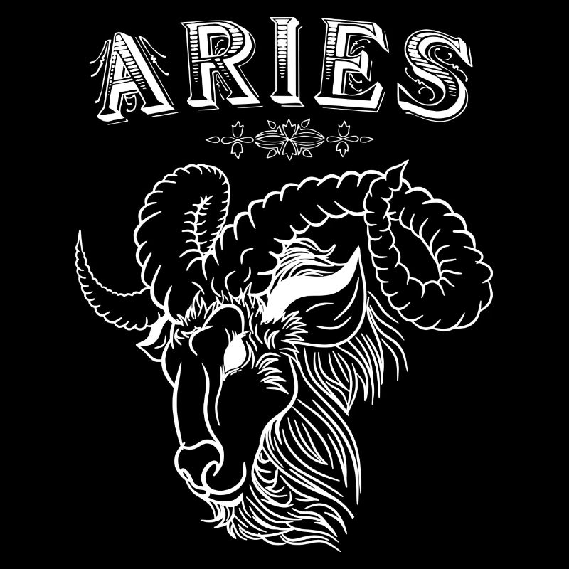 Aries zodiac sign Aries Aries