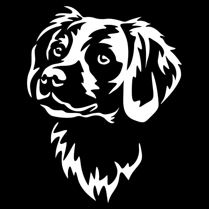 Epagneul Breton Head « Black Edition »