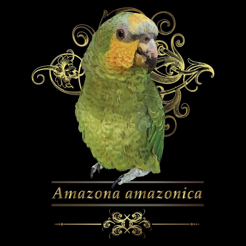 The Orange-winged Amazon