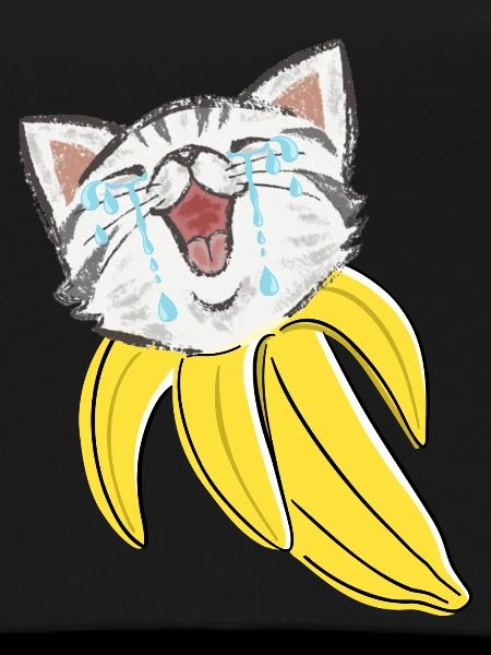 Chat Banane