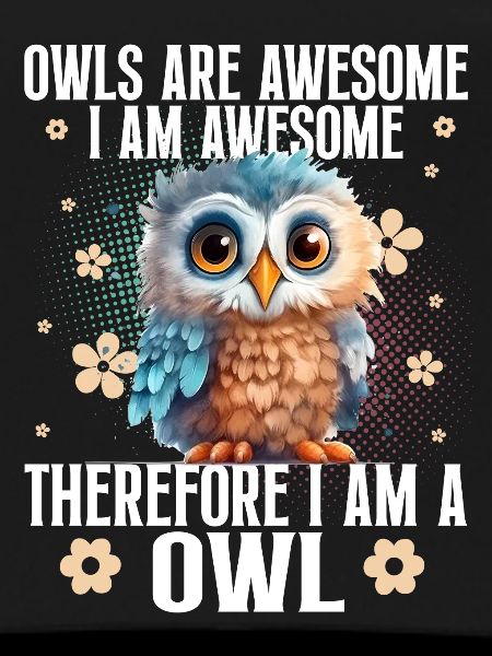 Owl Owls
