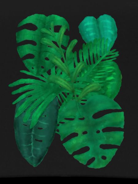 tropical plants