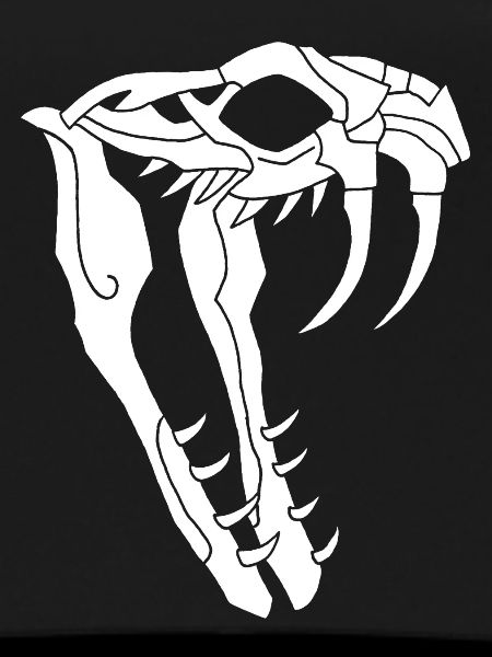 Snake Skull