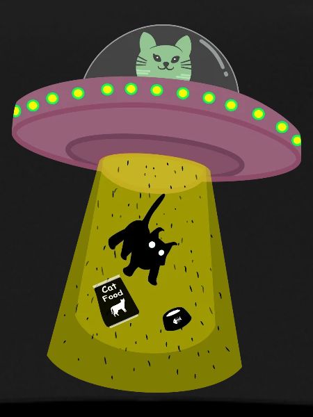 ufo cat