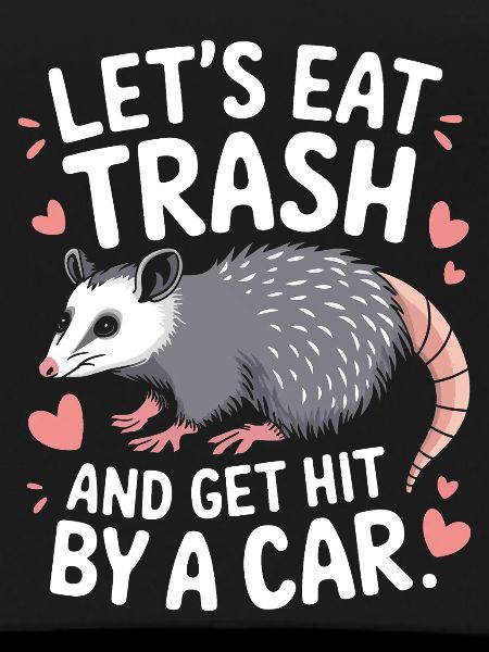 Opossum Possum Animal