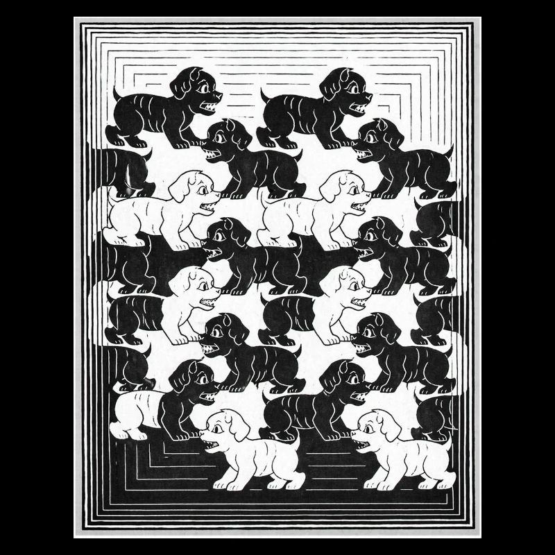 Chiots teckels en motif monochrome