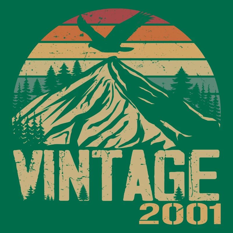 Jahrgang 2001 Retro 2001 Jubiläumsgeschenk