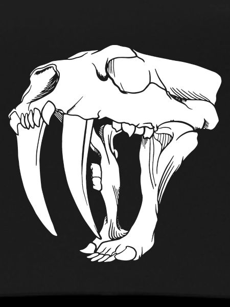 Säbelzahntiger