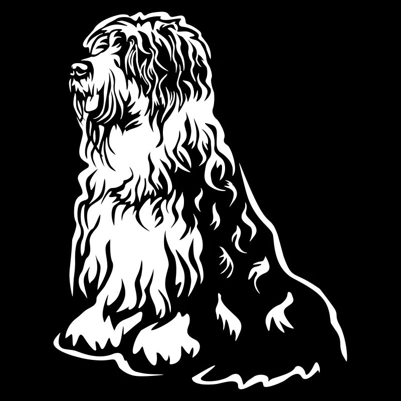 Bobtail « Black Edition »