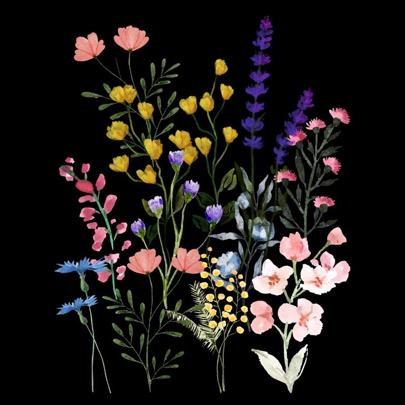 Sommerwiese