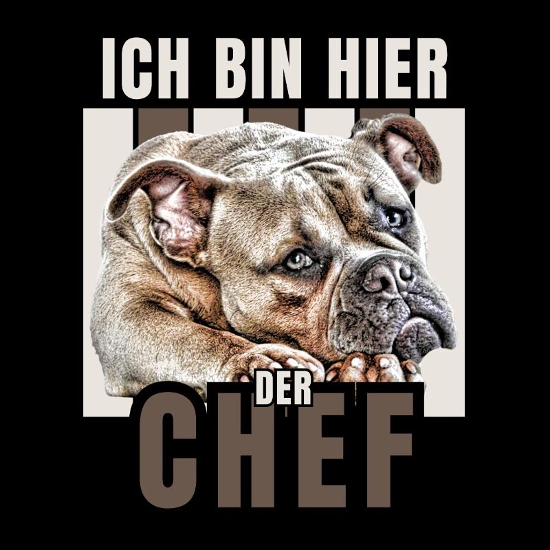 ICH BIN HIER DER CHEF Hund HUNDE Bullogge