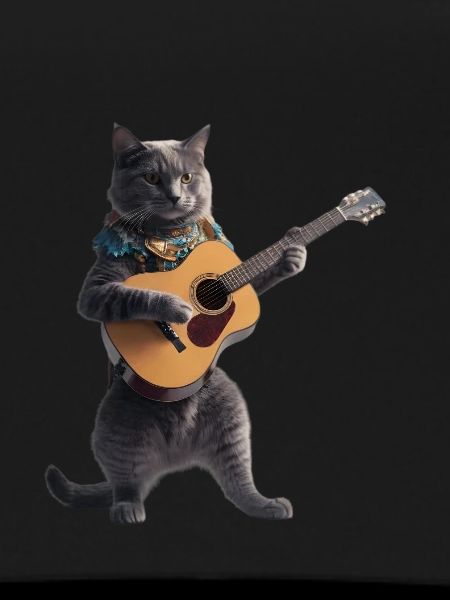 Cat Guitar