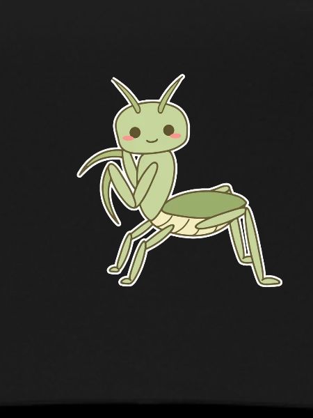 Elegant Praying Mantis