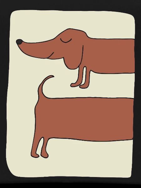 dachshund funny