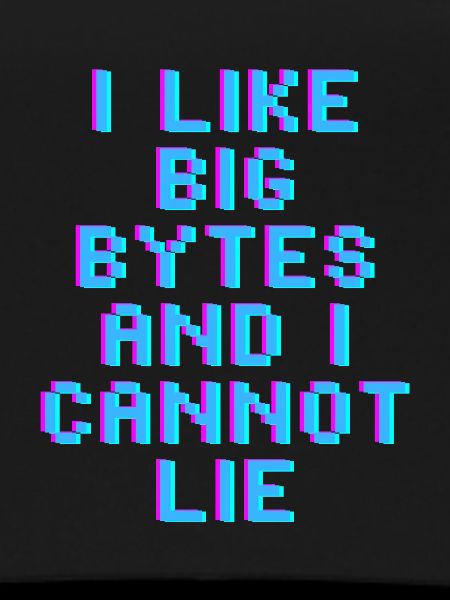 I like big bytes
