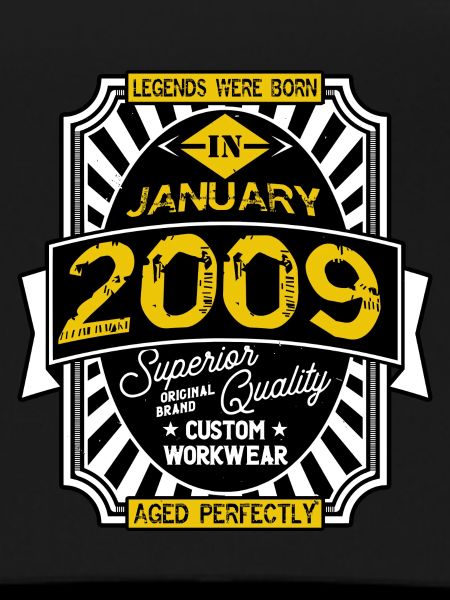 2009 JANUARY
