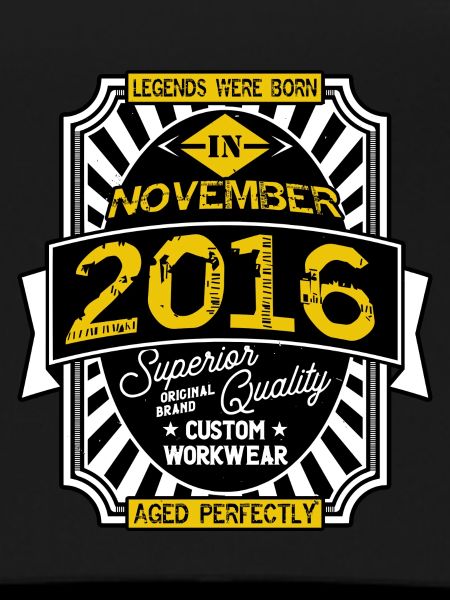 2016 NOVEMBER