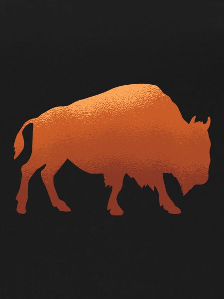 buffalo