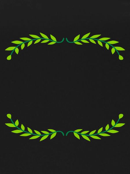Frame Bay Leaves Illustration