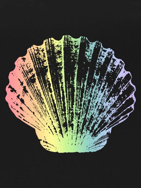Scallop