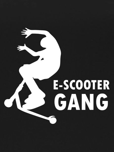 E-Scooter E-Roller Scooter