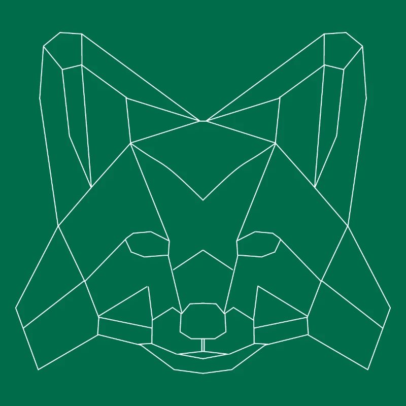 Fuchs polygons white