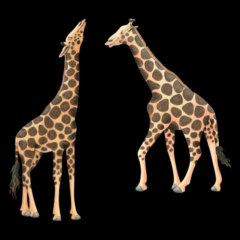 Giraffes