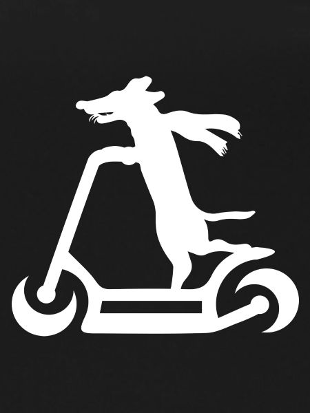 E-Scooter Roller