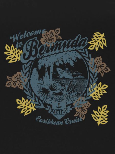 Welcome To Bermudas