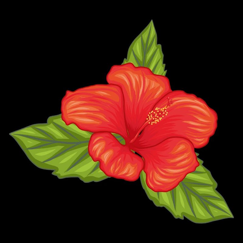 Hibiskusblüte