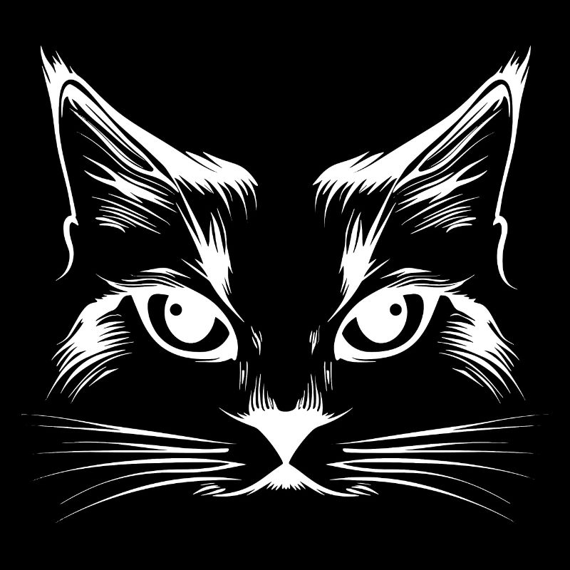 Chat, Motif De Chat, Visage De Chat