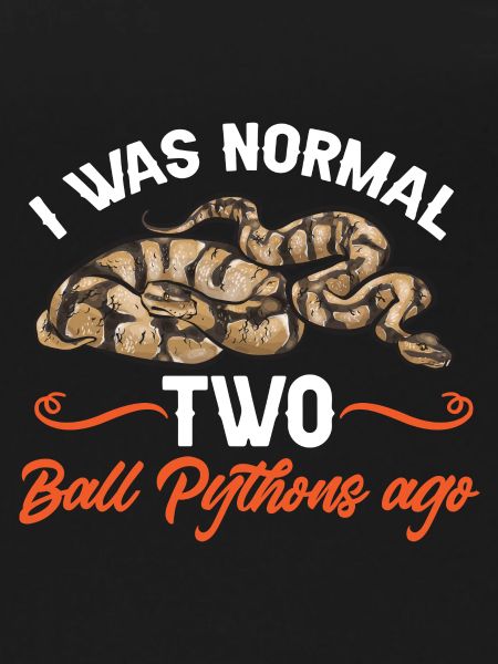 Ball Python Schlange Königspython