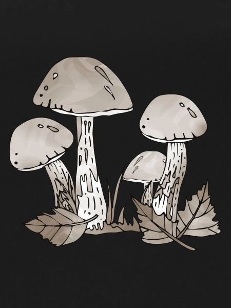 Fungi