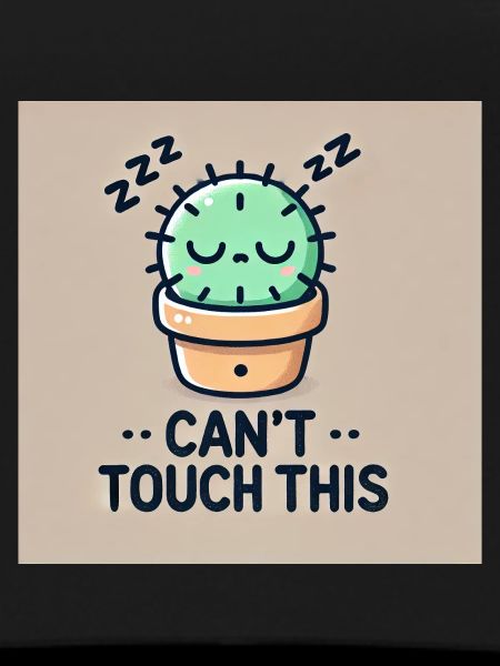 Can't Touch This