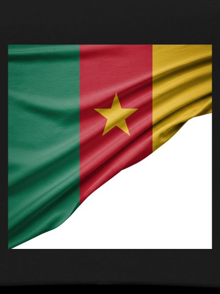 Flags of Cameroon