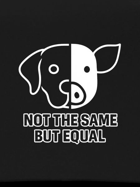 Dog Pig