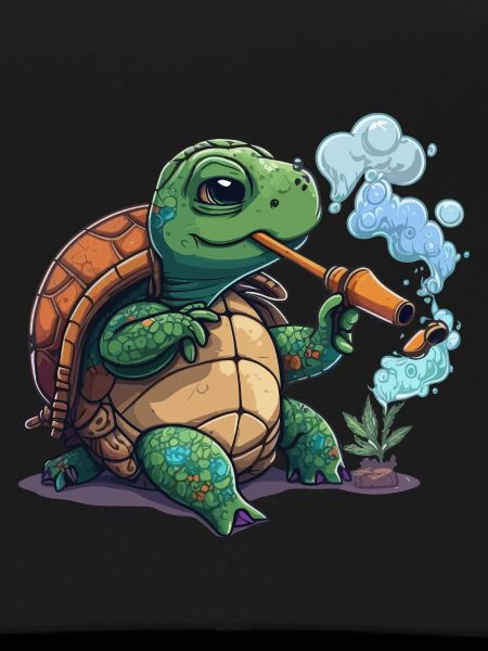 Toking Turtle