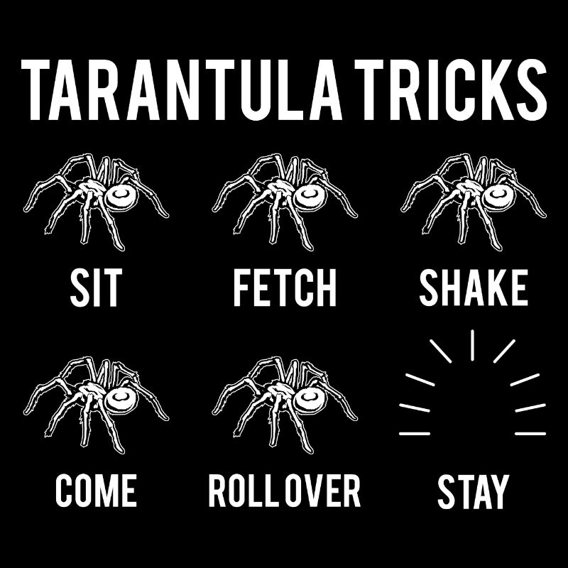Pet Tarantula Arthropod Arachnid Spider Gift