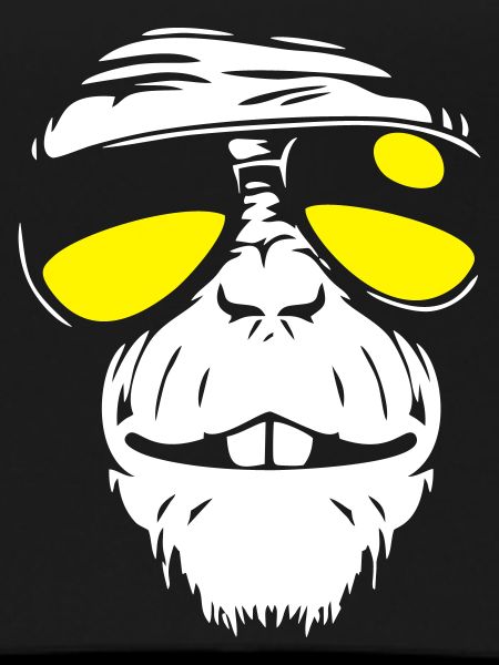 Cool Monkey - Singe cool