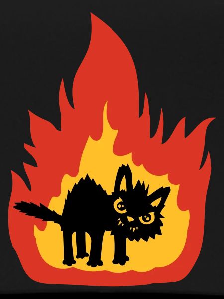 Chat brûlant
